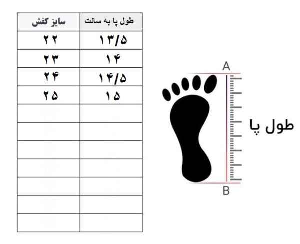 كفش آل ستار بيسكوئيتی